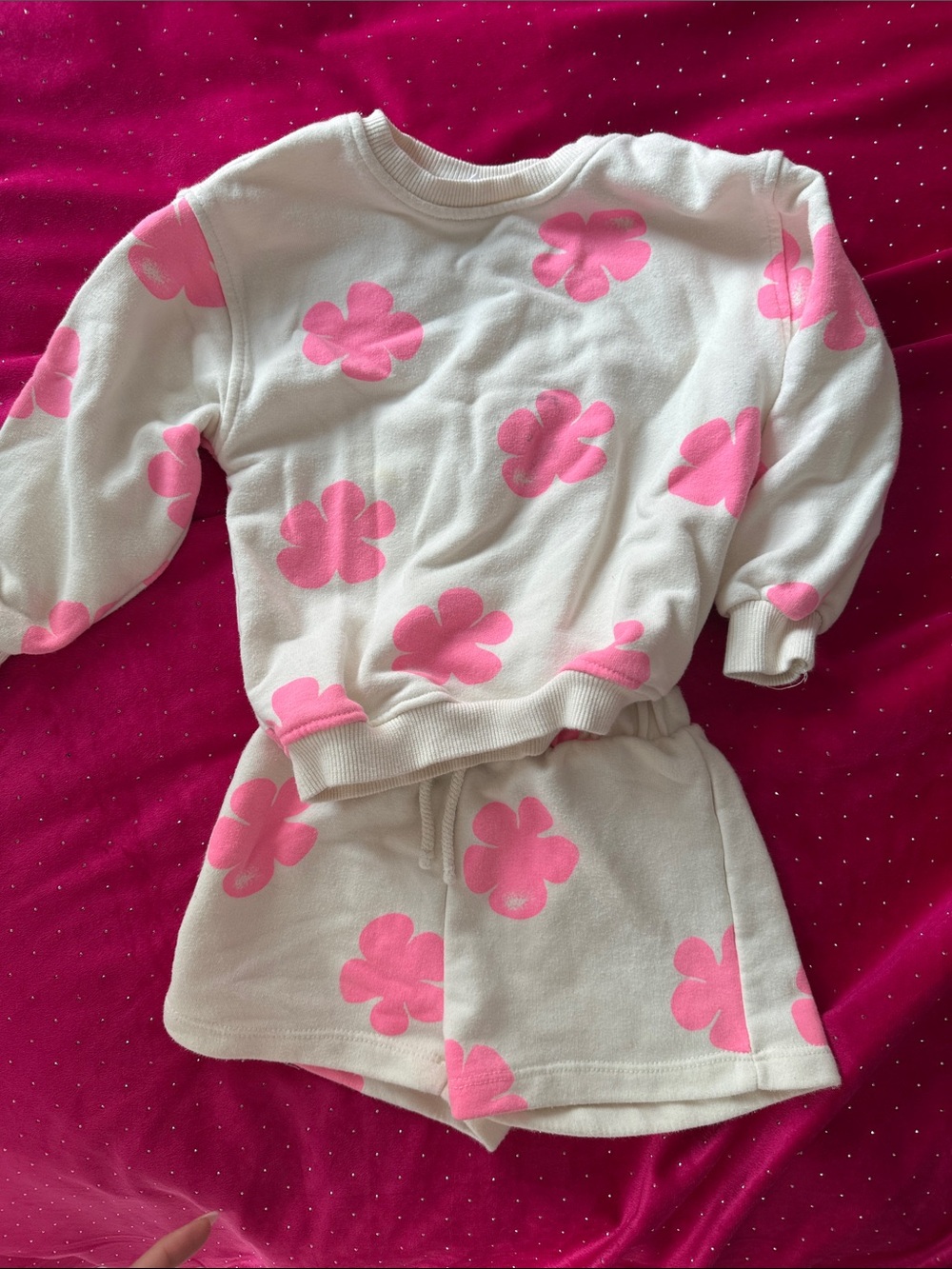 Zara Floral Print Two-Piece Set - Pink on Cream